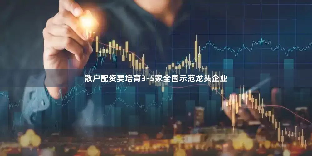 散户配资要培育3-5家全国示范龙头企业